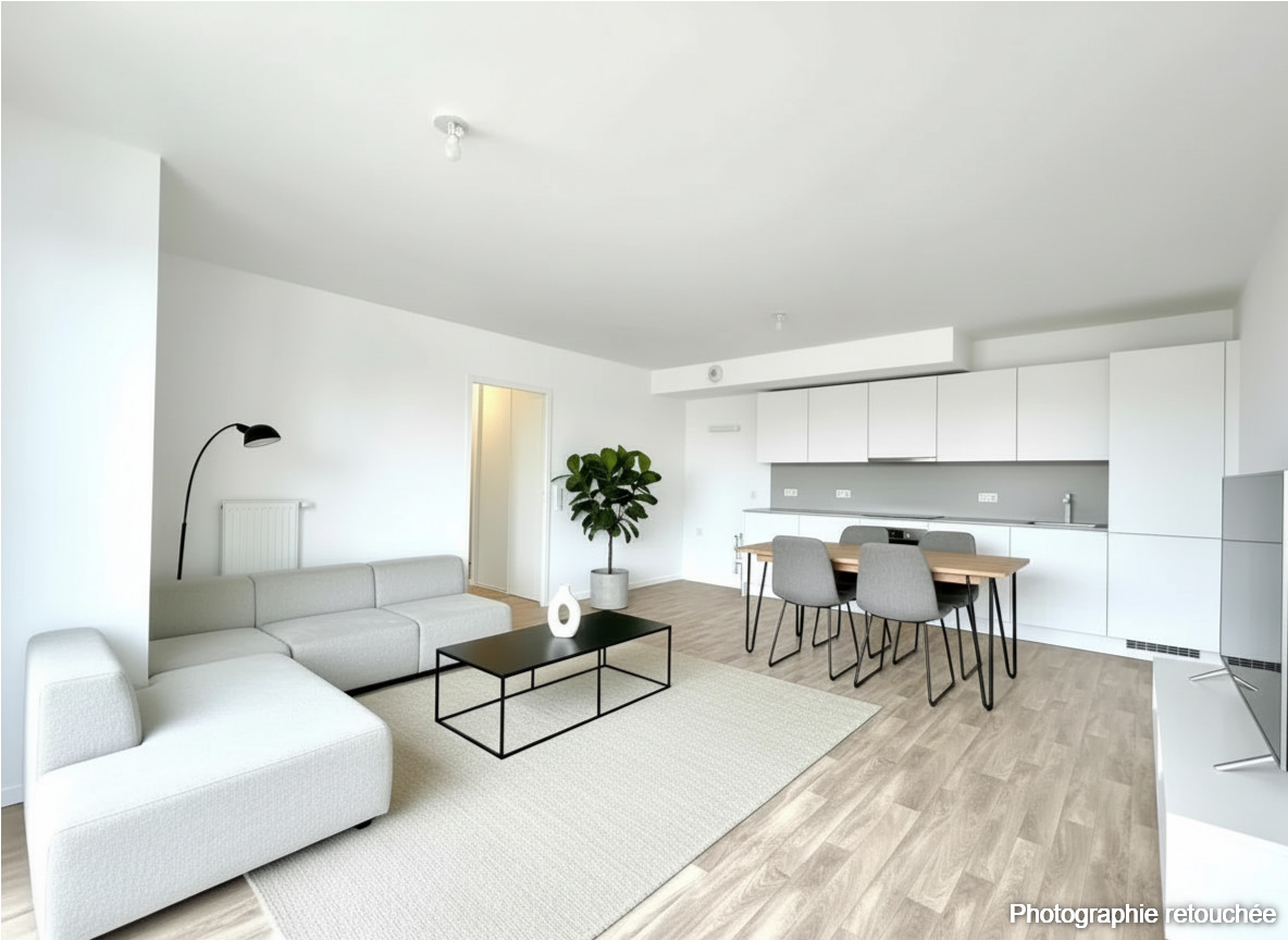 projection 1 pièce de vie